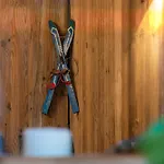 كوكوون هاوبتباهنهوف 4* ميونيخ